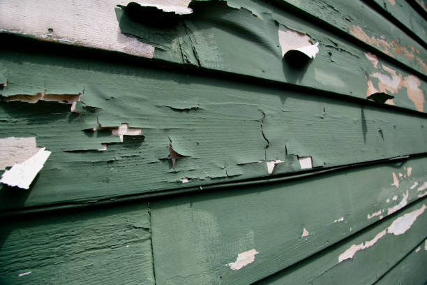 Best Siding for New Construction  in Somerdale, NJ