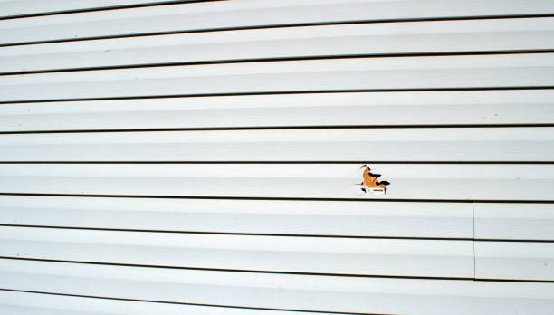 Trusted Somerdale, NJ Siding Installation & Repair Experts
