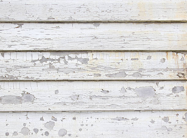 Best Custom Trim and Detailing for Siding  in Somerdale, NJ