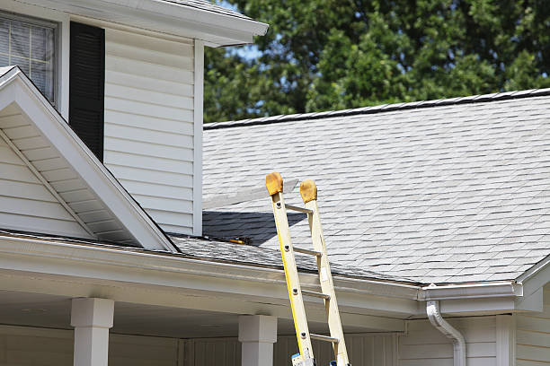Best Wood Siding Installation  in Somerdale, NJ
